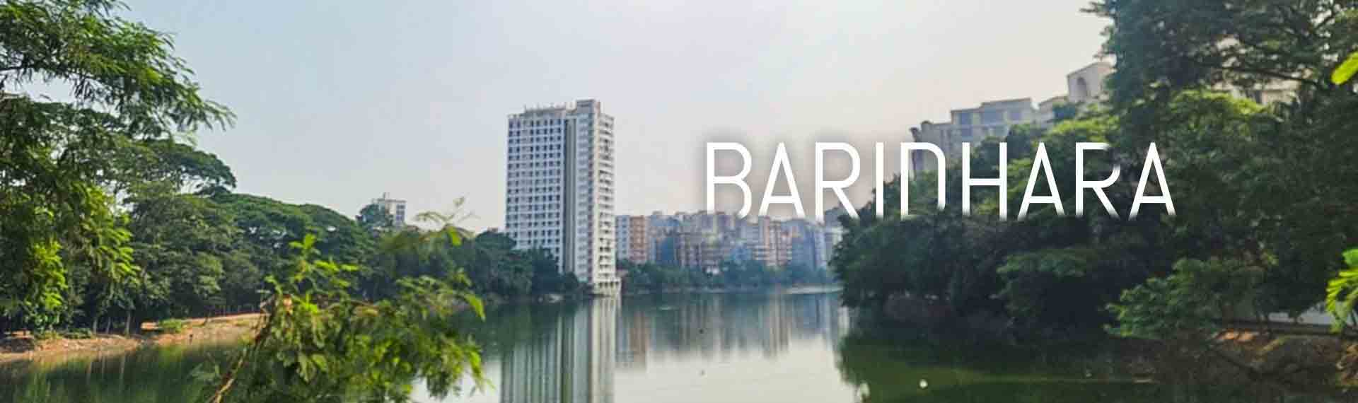 Baridhara